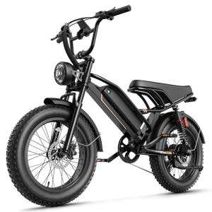 Jasion YR20 2000W Electric Fat Tire Bike