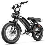 Jasion YR20 2000W Electric Fat Tire Bike
