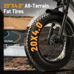Jasion YR20 2000W Electric Fat Tire Bike