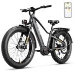 Heybike Alpha 1500W Mid-Drive Electric Bike