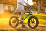Razor Rambler 20 Adult Electric Bike - Retro Style
