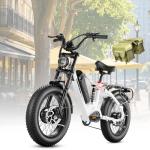 eAhora Terra/Luna 3000W Dual Motor Electric Bike