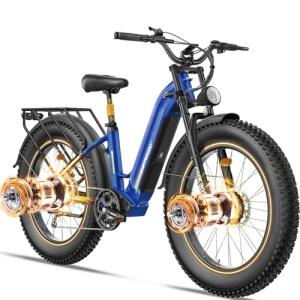 FREESKY 3500W Electric Bike with Fat Tires