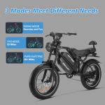 HAPPYRUN 2000W Electric Fat Tire Bike