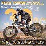 FREESKY 2025 Dual Battery 2500W Electric Bike