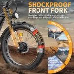 FREESKY 3500W Electric Bike with Fat Tires