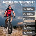 Peak 6000W Fat Tire Electric Mountain Bike