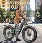 FREESKY 3500W Electric Bike with Fat Tires
