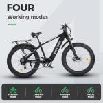 ECOTRIC Explorer 26" 750W Fat Tire eBike