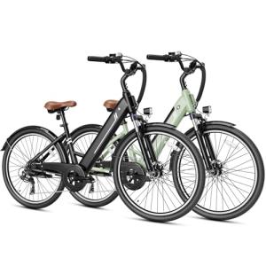 Jasion YC1 26" Step-Through Electric Bike, 750W