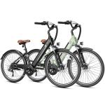 Jasion YC1 26" Step-Through Electric Bike, 750W