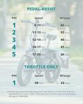 Gotrax R2 Folding Electric Bike with 55 Miles