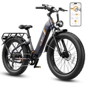 Jasion Thunder 1500W Electric Bike for Adults