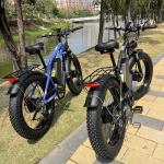 6000W Dual Motor All-Wheel Drive Electric Bike