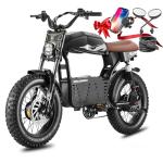 eAhora 4000W Dual Motor Fat Tire Electric Bike