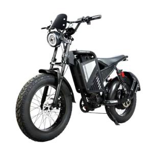 2000W Electric Fat Tire Bike, 40MPH Speed