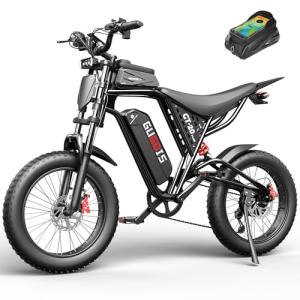 Rakowe 1500W Electric Fat Tire Bike for Adults