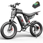Rakowe 1500W Electric Fat Tire Bike for Adults