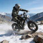 GLOBALKEEP 750W Fat Tire Electric Bike for Adults