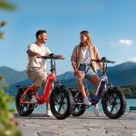 HOVSCO 1500W Folding Electric Bike for Adults