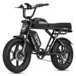 2400W Dual Motor 32AH Fat Tire Electric Bike