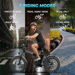 Foldable Electric Fat Tire Bike with 983W Motor