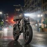 2400W Dual Motor 32AH Fat Tire Electric Bike