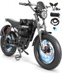 GERPSI 3000W Electric Bike with Fat Tires