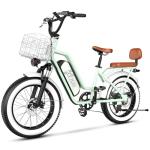 Bluebiko 2-Seater Electric Bike with 1300W Motor