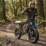 2400W Dual Motor 32AH Fat Tire Electric Bike
