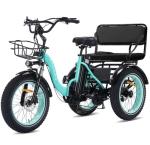 NOMIGO Two-Seater Electric Tricycle with 1350W Motor