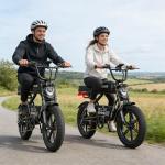 1200W Electric Bike for Adults with Fat Tires