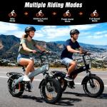 HX Adult Electric Bike with Cargo Rack & Fat Tires