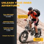 EUYBIKE Peak 2000W Foldable Electric Bike 35MPH