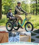 NOMIGO Two-Seater Electric Tricycle with 1350W Motor