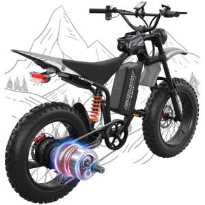 KAOLORY 3000W Electric Bike for Any Terrain