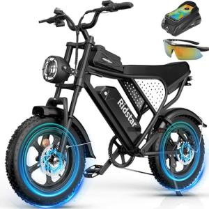 Ridstar Q20 Electric Bike for All Terrain Adventures
