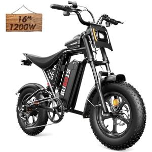 Adult Electric Fat Tire Bike with 1200W Motor