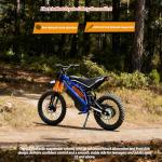 Powerful 4000W Electric Dirt Bike for Adults