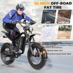 KAOLORY 3000W Electric Bike for Any Terrain