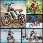 Ridstar Q20 Electric Bike, 2000W, All-Terrain Fat Tire