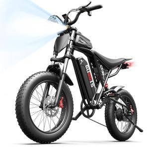 GugoIs 1500W Electric Bike with 20" Fat Tires