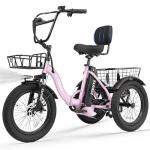 ESKUTE Foldable Electric Trike with 1200W Motor