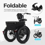 Adult Electric Tricycle with 20" Fat Tires