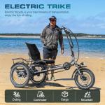 ZYCLE Z500 Electric Semi-Recumbent Trike, 750W