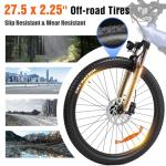 HX Q5 Electric Mountain Bike 2000W Peak 35 MPH