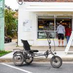 ZYCLE Z500 Electric Semi-Recumbent Trike, 750W