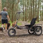 ZYCLE Z500 Electric Semi-Recumbent Trike, 750W