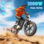 Askmy E500 1000W Electric Bike with Fat Tires