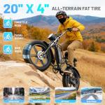 Askmy E500 1000W Electric Bike with Fat Tires
